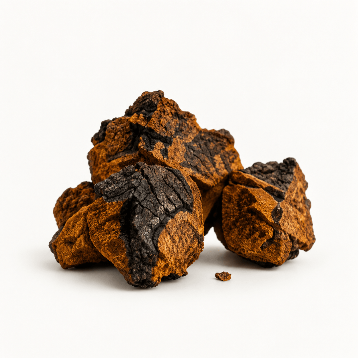 Chaga