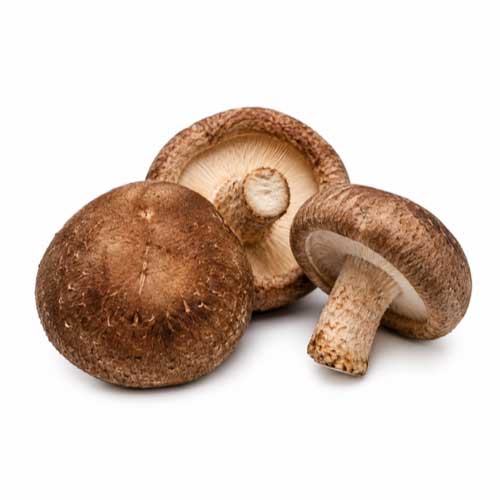 Shiitake